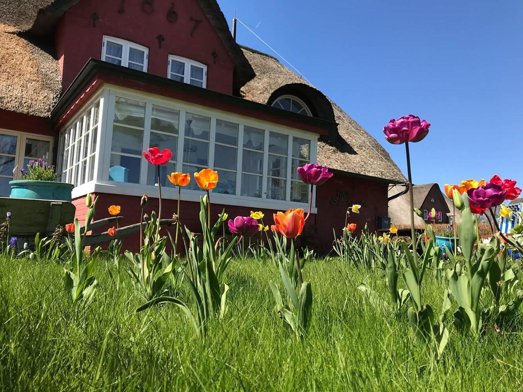 Hues Sanskiin Ferienwohnung *Goodshenk* Suddorf Exterior photo
